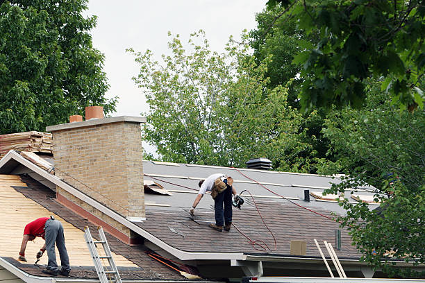 Best Roof Repair Services  in Beecher, MI
