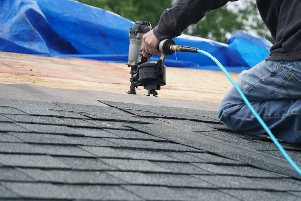 Best Metal Roofing Contractor  in Beecher, MI