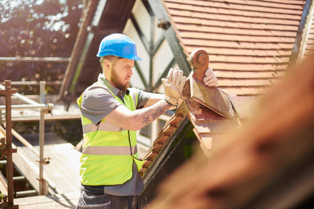 Best Shingle Roofing Installation  in Beecher, MI