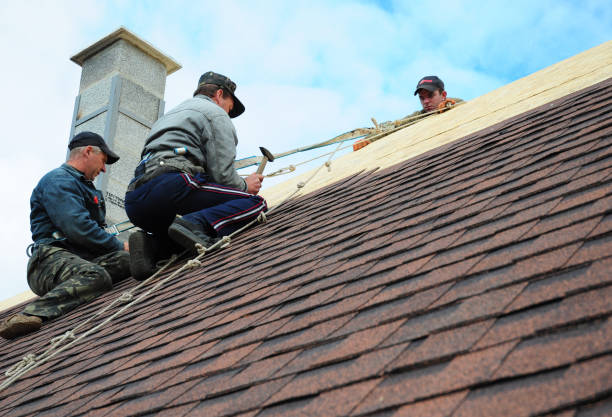 Best Flat Roof Repair Services  in Beecher, MI