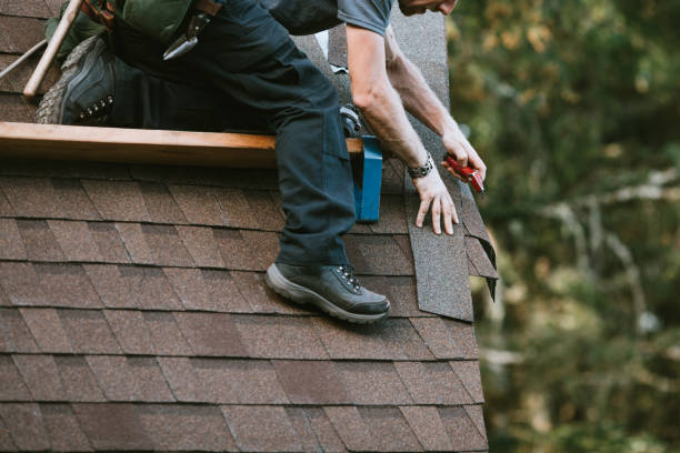 Best Metal Roofing Contractor  in Beecher, MI